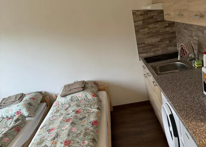 V Karlových Varech Pro 2 Osoby, Free Wifi * Karlovy Vary